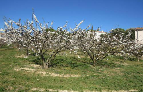 Résidence de gîtes La Sidoine du Mont-Ventoux - Foto 73