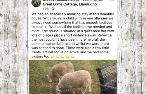 Great Orme Cottage, Llandudno - The Best of Rural & Coast! - Foto 40