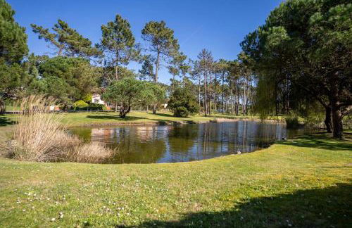 R3 - Miravillas - Rosas 33 - Foto 10