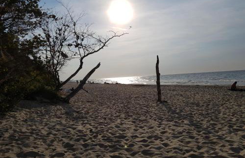 Eden Domki Kołczewo - Foto 36