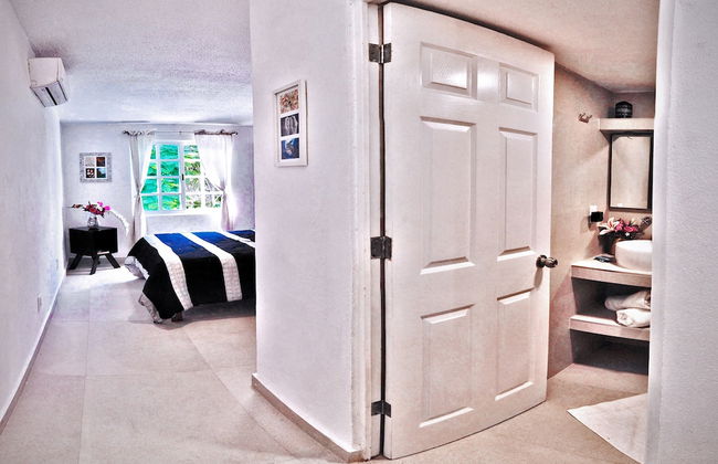 HominngBird - Foto 20