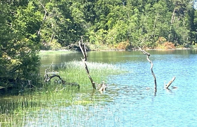 Kugelhaus Tamika - Sauna, Whirlpoolwanne und Kamin am Tollensesee - Foto 27