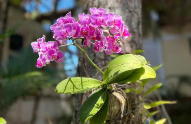 Vila Paramita - Foto 44