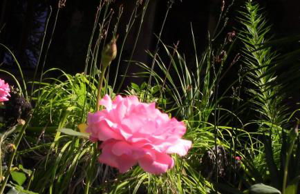 Casa della Gioia - Foto 55