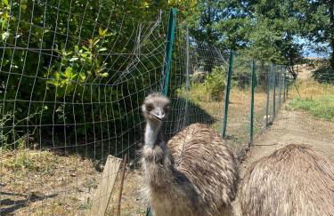 Agriturismo Tenute di Hera - Via Francigena - Foto 18