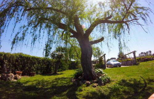 Villa Enli - Foto 30