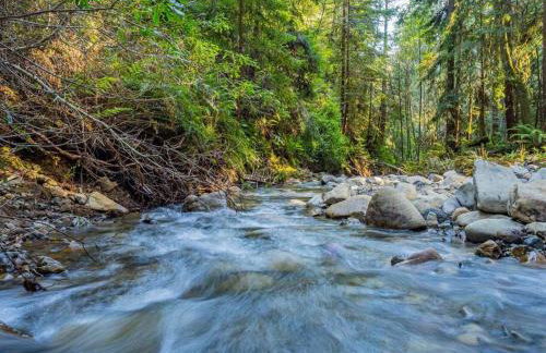 Driftwood Lodge~5 BR/7 Bath~30-acre Private Estate - Foto 43