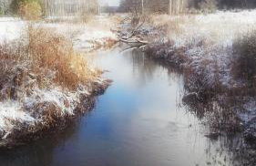 Siedlisko Gruszki Puszcza Białowieska - Foto 63