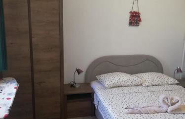 Nikini dvori - Foto 27