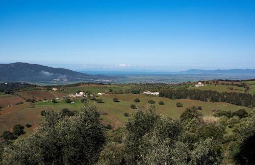 Casale Oleo - Foto 66