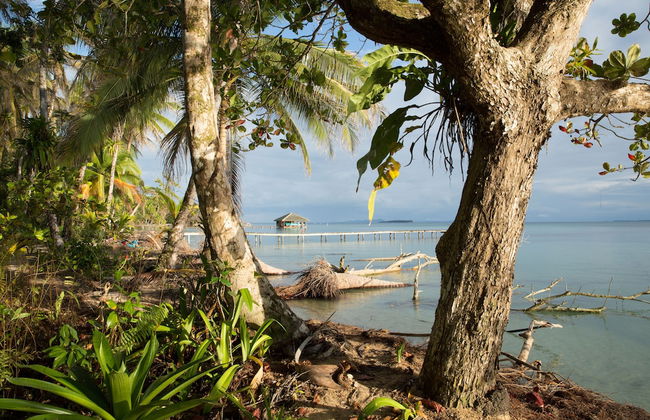 Residencia Natural - Photo 33