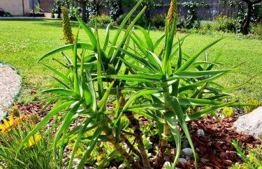 Holiday Home Villa Emma - Photo 42