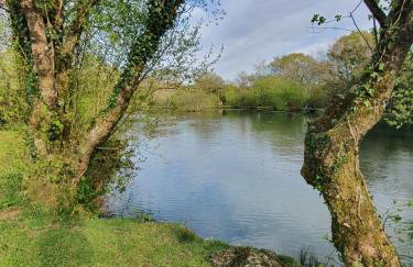 Blissful Escape Hengar Manor - Foto 24