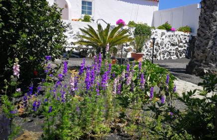 Finca Primavera - Foto 27