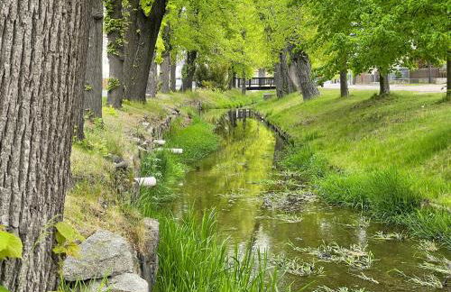 Igelnest Großthiemig - Foto 60