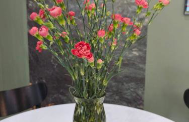 Blu Apartments - Foto 14