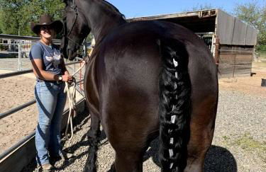 Cozy Rustic Cabin on a Working Horse Ranch for a Unique Getaway in Granite Bay, California - Foto 20