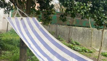 Apartment with balconies and garden - Foto 1, Garden, Garden view
