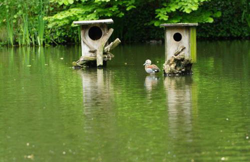 Gästewohnung Hardinghaus am Teich - Foto 34