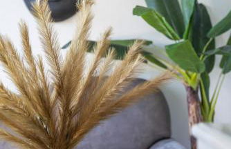 Baba Residences - Foto 30