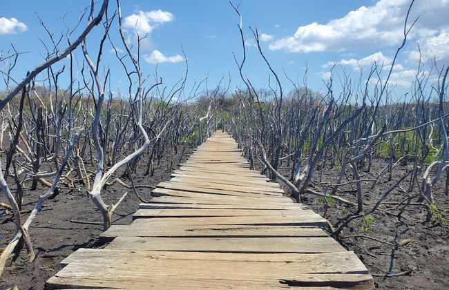 One Life Villas - Foto 5