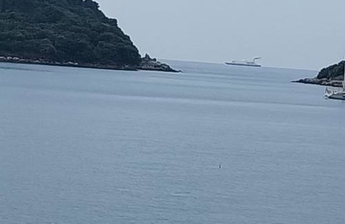 Captain's villa - Photo 50