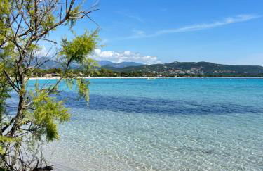 ALMA Rossa - Foto 14