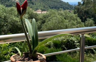 Casa Malva - Foto 21