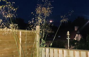 A Wee Cottage In Dunfermline - Foto 13