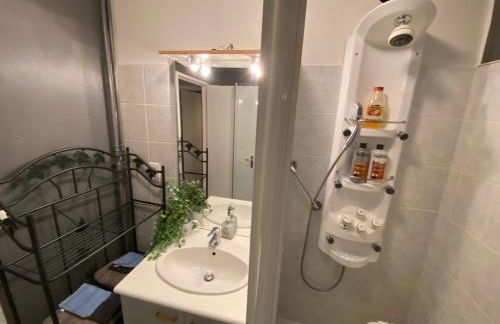 Les Meublés les Dômes du Parc - Photo 29