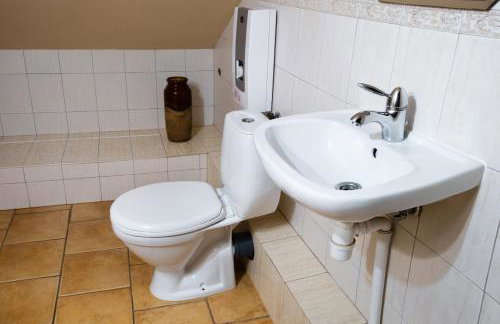 Agroalpaka Mazury - Foto 49