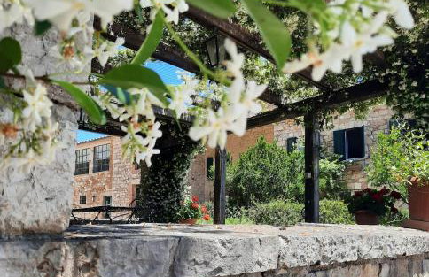 Agriturismo Tenuta Conti Faina - Foto 39