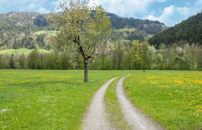 Property in Kirchbichl - Foto 71