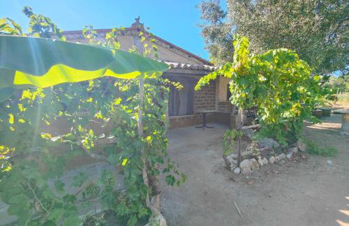 Agriturismo Casa del Contadino - Photo 26