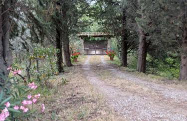Terrazza sul Chianti - Photo 7