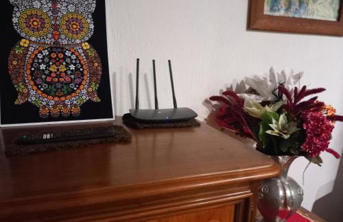 The Green Owl - Foto 43