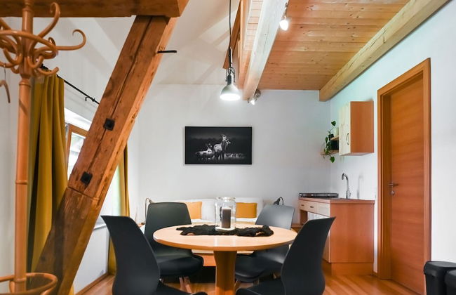 Loft-like Apartment With Swimming Pond - Photo 16