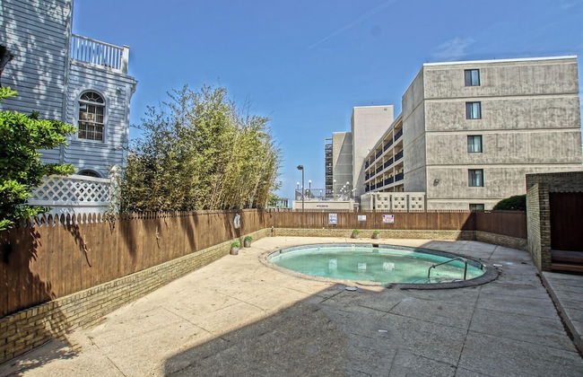 THE Crest 204 - Foto 1