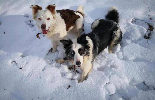 Chalet in Reinskopf With Fireplace - Foto 70