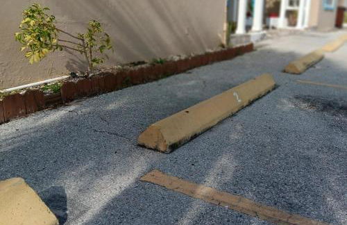 Madeira Bonita - Photo 25