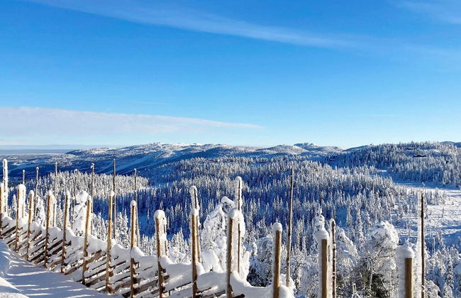 10 Person Holiday Home in Nesbyen-by Traum - Photo 25