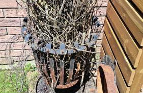 Private 1-2,5 -Zimmer-Wohnung mit Terrasse - Foto 53