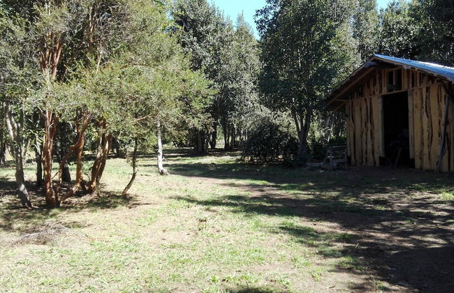 Cabaña Rústica 2 Maravillosa,con Troncos Nativos, con Orilla de Río Trancura - Foto 57