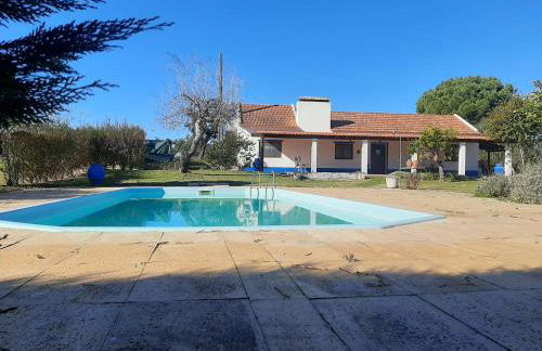 Monte das Laranjeiras - Foto 8