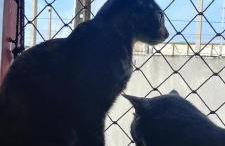 Apartamento na Farolândia! - Foto 36