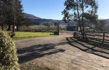 The Granny Anne xe - Photo 9