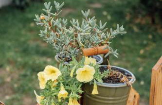 Casa Ti Carolina - Foto 65