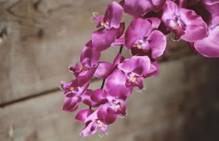 Agriturismo Beatilla - Photo 78