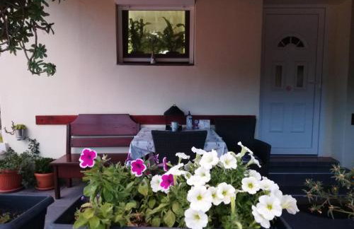 Apartman Rosa - Foto 8