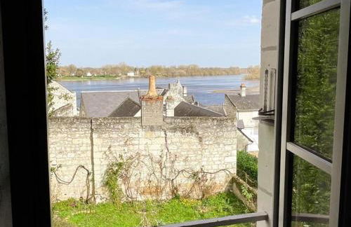 Gîte XIXè de charme à Candes-St-Martin avec jardin clos - FR-1-381-612 - Foto 19